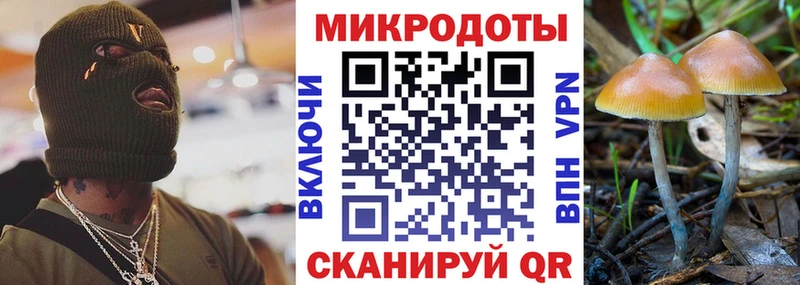 Галлюциногенные грибы прущие грибы Купить закладки Медвежьегорск